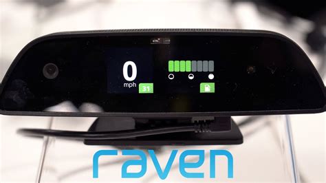 raven webcam